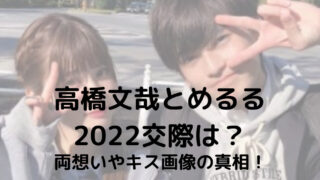 高橋文哉とめるる