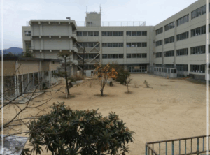 岡崎体育 学歴 大学