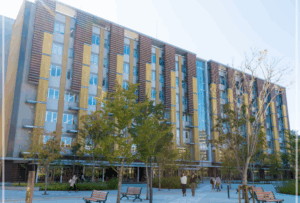 Vaundy 大学 留年