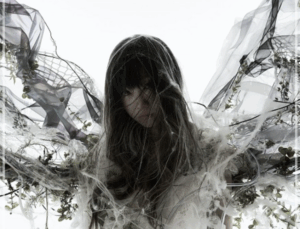 Aimer 出身